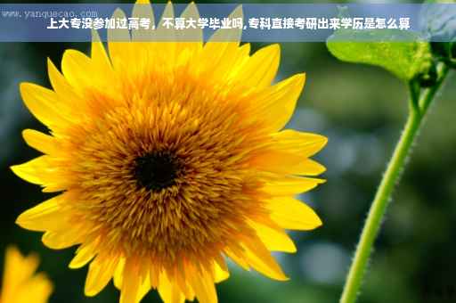 上大专没参加过高考，不算大学毕业吗,专科直接考研出来学历是怎么算