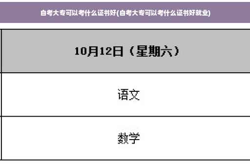 自考大专可以考什么证书好(自考大专可以考什么证书好就业)