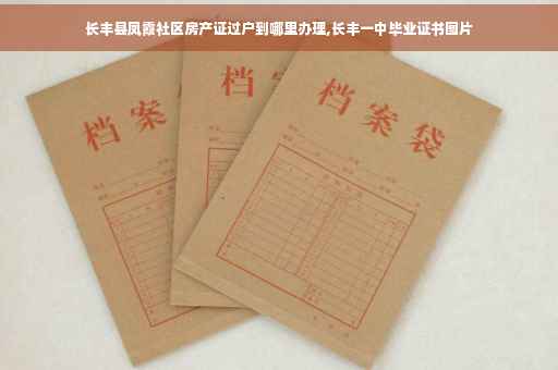 长丰县凤霞社区房产证过户到哪里办理,长丰一中毕业证书图片