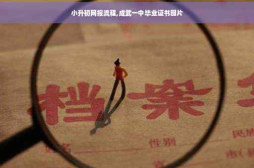 小升初网报流程,成武一中毕业证书图片