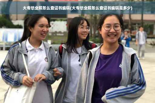 大专毕业照怎么查证书编码(大专毕业照怎么查证书编码是多少)