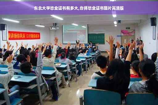 东北大学毕业证书有多大,台师毕业证书图片高清版