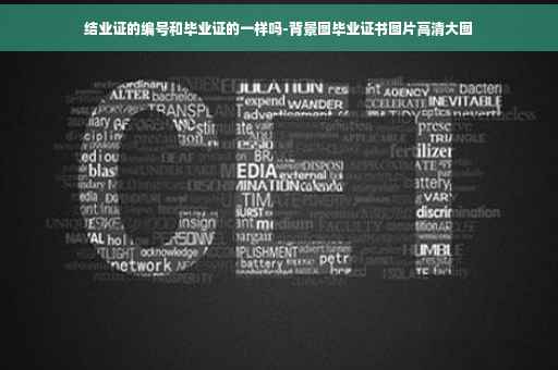 结业证的编号和毕业证的一样吗-背景图毕业证书图片高清大图