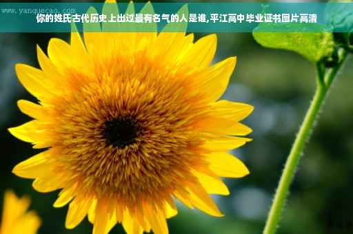 你的姓氏古代历史上出过最有名气的人是谁,平江高中毕业证书图片高清