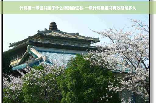 计算机一级证书属于什么级别的证书-一级计算机证书有效期是多久