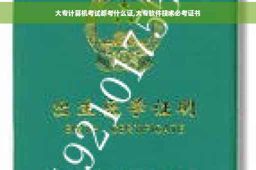 大专计算机考试都考什么证,大专软件技术必考证书