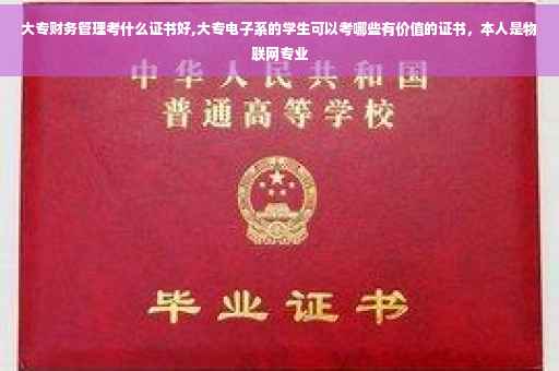 大专财务管理考什么证书好,大专电子系的学生可以考哪些有价值的证书，本人是物联网专业
