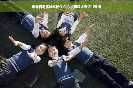 赤峰荷马实验学校介绍,东城远程大专证书查询
