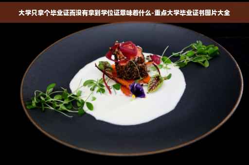 大学只拿个毕业证而没有拿到学位证意味着什么-重点大学毕业证书图片大全 大学只拿个毕业证而没有拿到学位证意味着什么-重点大学毕业证书图片大全