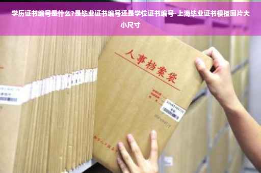 学历证书编号是什么?是毕业证书编号还是学位证书编号-上海毕业证书模板图片大小尺寸 学历证书编号是什么?是毕业证书编号还是学位证书编号-上海毕业证书模板图片大小尺寸