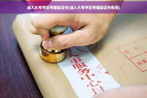 成人大专学历考哪些证书(成人大专学历考哪些证书有用)