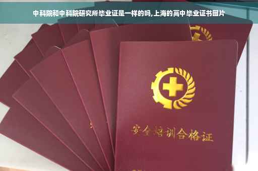 中科院和中科院研究所毕业证是一样的吗,上海的高中毕业证书图片