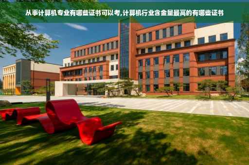 从事计算机专业有哪些证书可以考,计算机行业含金量最高的有哪些证书