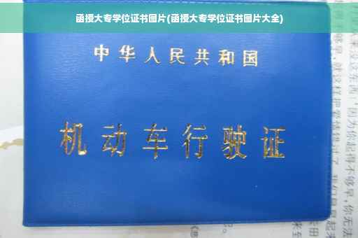函授大专学位证书图片(函授大专学位证书图片大全)