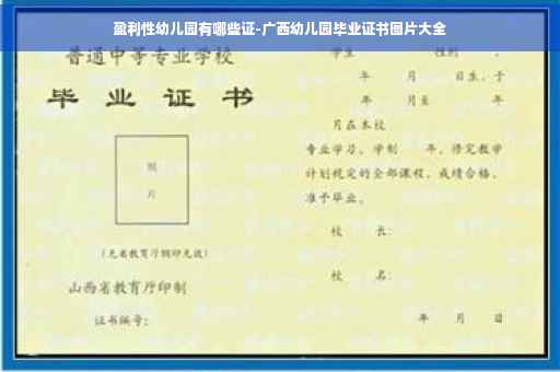 盈利性幼儿园有哪些证-广西幼儿园毕业证书图片大全
