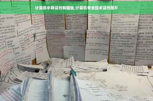 计算机中级证书有哪些,计算机专业技术证书图片