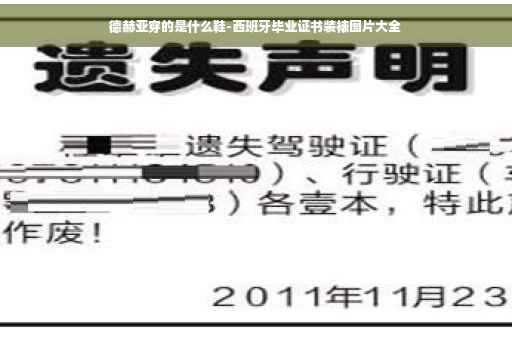 德赫亚穿的是什么鞋-西班牙毕业证书装裱图片大全