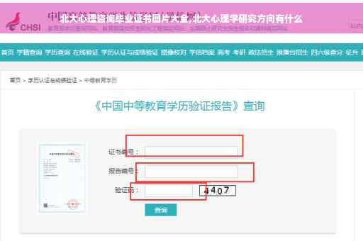北大心理咨询毕业证书图片大全,北大心理学研究方向有什么