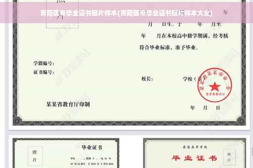 贵阳医专毕业证书图片样本(贵阳医专毕业证书图片样本大全)
