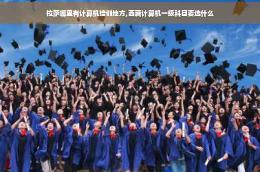 拉萨哪里有计算机培训地方,西藏计算机一级科目要选什么