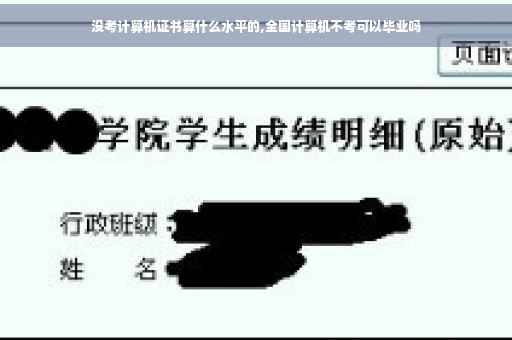 没考计算机证书算什么水平的,全国计算机不考可以毕业吗