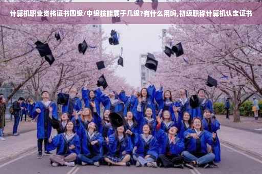 计算机职业资格证书四级/中级技能属于几级?有什么用吗,初级职称计算机认定证书