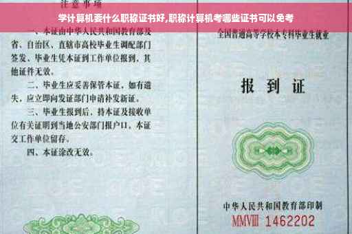 学计算机要什么职称证书好,职称计算机考哪些证书可以免考