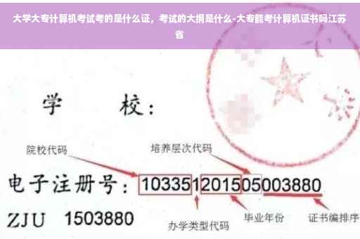 大学大专计算机考试考的是什么证，考试的大纲是什么-大专能考计算机证书吗江苏省