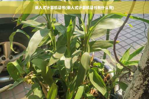 嵌入式计算机证书(嵌入式计算机证书有什么用) 嵌入式计算机证书(嵌入式计算机证书有什么用)