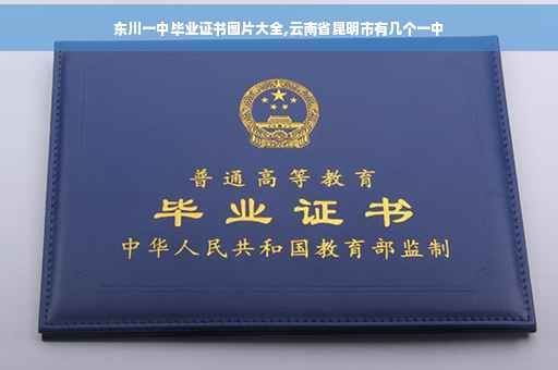 东川一中毕业证书图片大全,云南省昆明市有几个一中