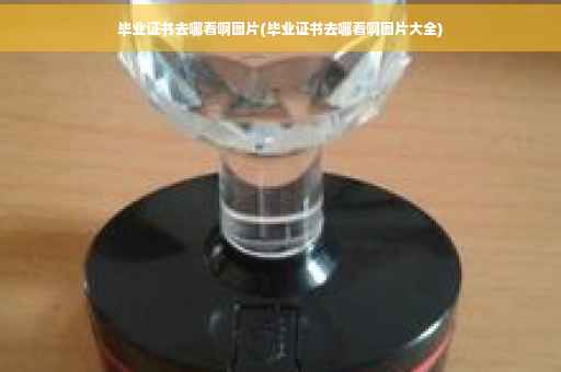 毕业证书去哪看啊图片(毕业证书去哪看啊图片大全)