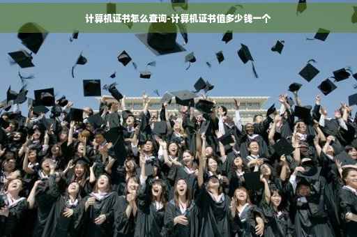 计算机证书怎么查询-计算机证书值多少钱一个