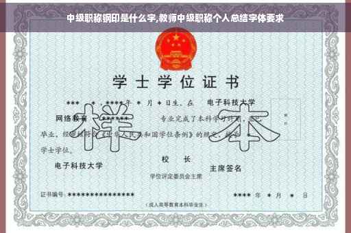 中级职称钢印是什么字,教师中级职称个人总结字体要求