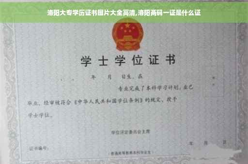 洛阳大专学历证书图片大全高清,洛阳两码一证是什么证