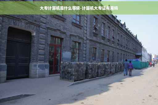 大专计算机是什么等级-计算机大专证有用吗