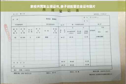 家校共育怎么领证书,亲子训练营毕业证书图片