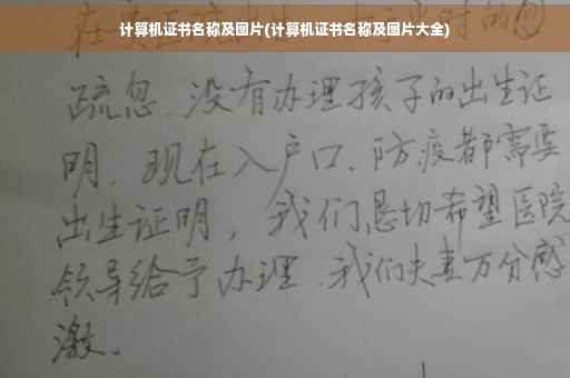 计算机证书名称及图片(计算机证书名称及图片大全)