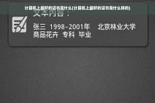 计算机上最好的证书是什么(计算机上最好的证书是什么样的)