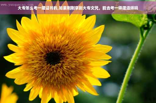 大专怎么考一建证书的,如果刚刚拿到大专文凭，能去考一级建造师吗
