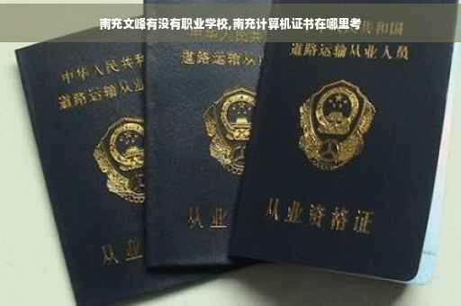 南充文峰有没有职业学校,南充计算机证书在哪里考