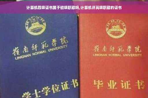 计算机四级证书属于初级职称吗,计算机评高级职称的证书
