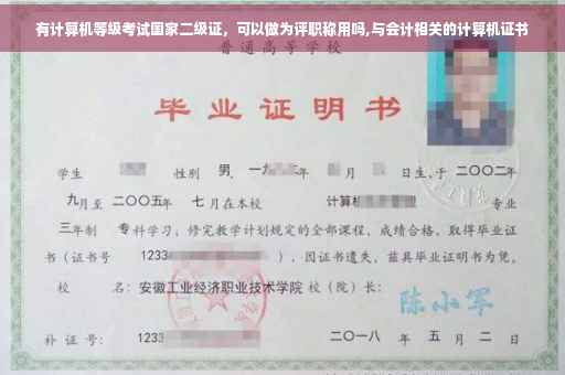 有计算机等级考试国家二级证，可以做为评职称用吗,与会计相关的计算机证书