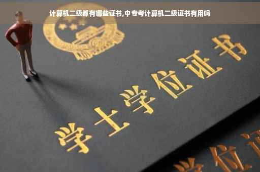 计算机二级都有哪些证书,中专考计算机二级证书有用吗