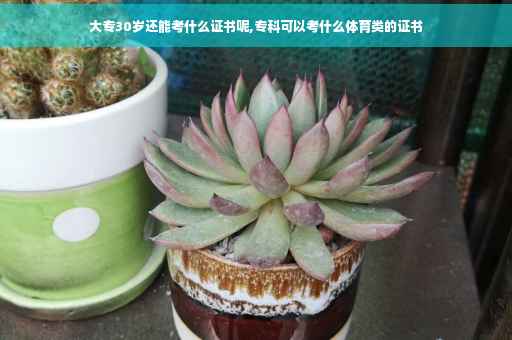 大专30岁还能考什么证书呢,专科可以考什么体育类的证书