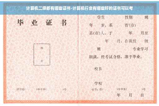 计算机二级都有哪些证书-计算机行业有哪些好的证书可以考