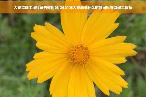 大专监理工程师证书有用吗,2021年大专毕业什么时候可以考监理工程师