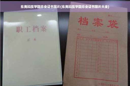 东南科技学院毕业证书图片(东南科技学院毕业证书图片大全)