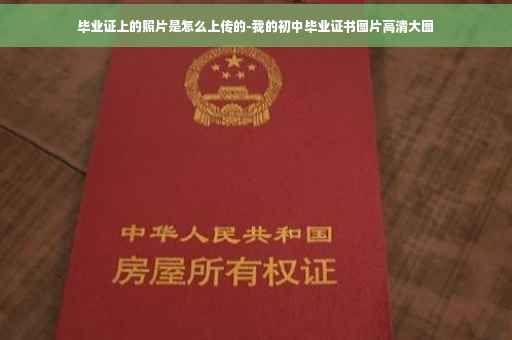 毕业证上的照片是怎么上传的-我的初中毕业证书图片高清大图