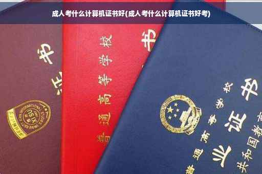成人考什么计算机证书好(成人考什么计算机证书好考)