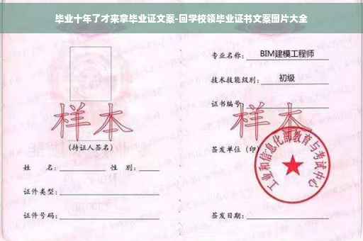 毕业十年了才来拿毕业证文案-回学校领毕业证书文案图片大全